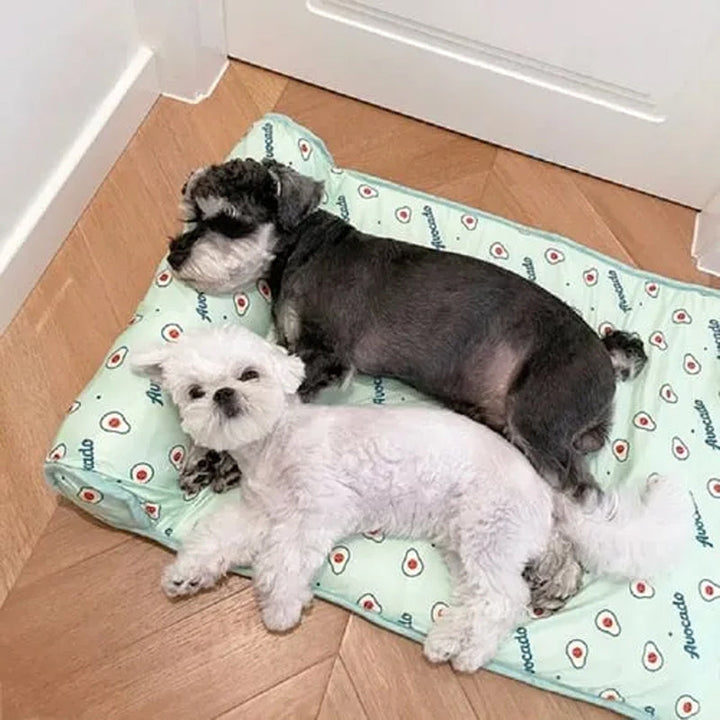 Pet Summer Cool Bed Ice Silk Cooling Mat for Dogs & Cats | Kalsten