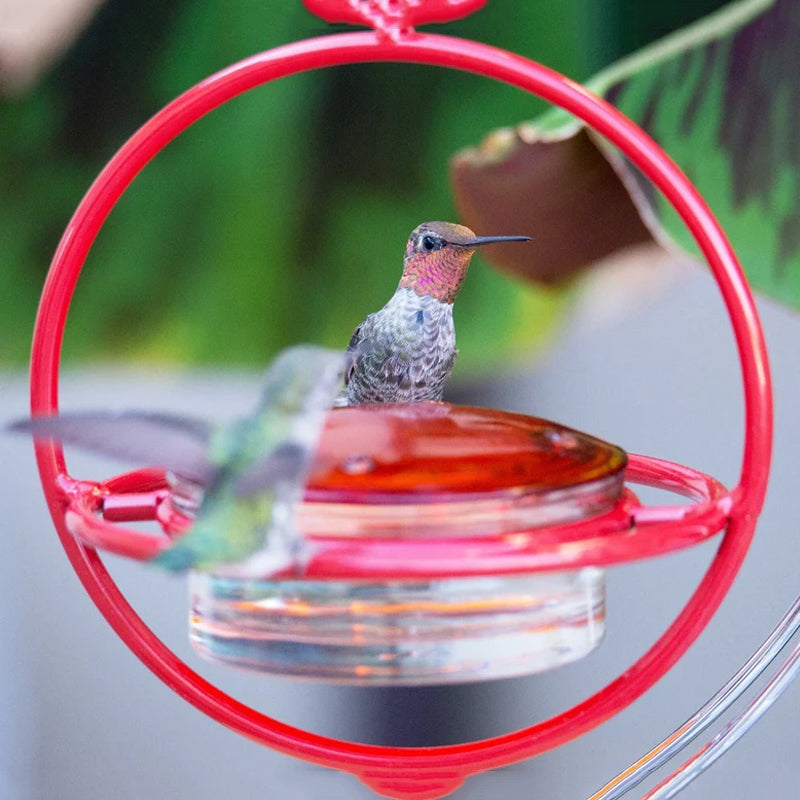 Kalsten | Simple Hummingbird Water Dispenser Made of Metal