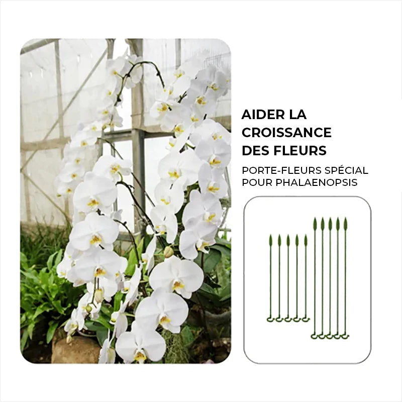 Plant support pole | Kalsten