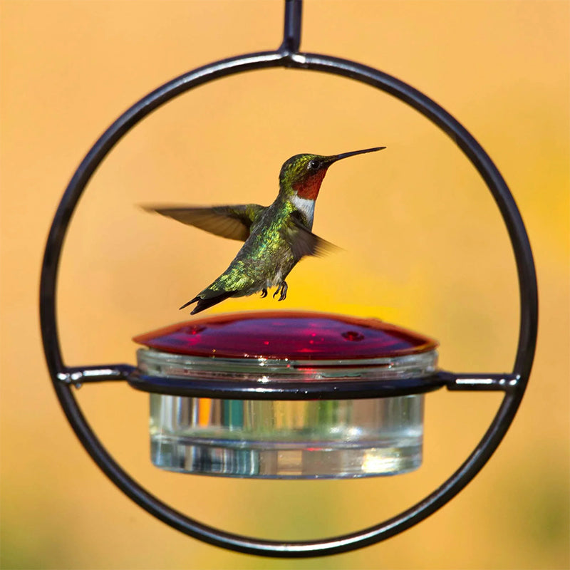 Kalsten | Simple Hummingbird Water Dispenser Made of Metal