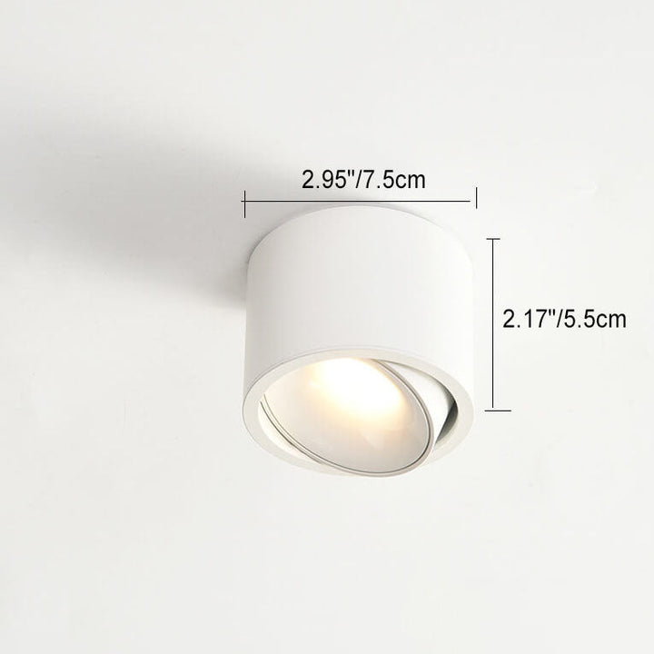 Flush Mount Ceiling Light Aluminum 3.7 in Small 12W Modern Hallway Bedroom Living Room LED Fixture | Kalsten