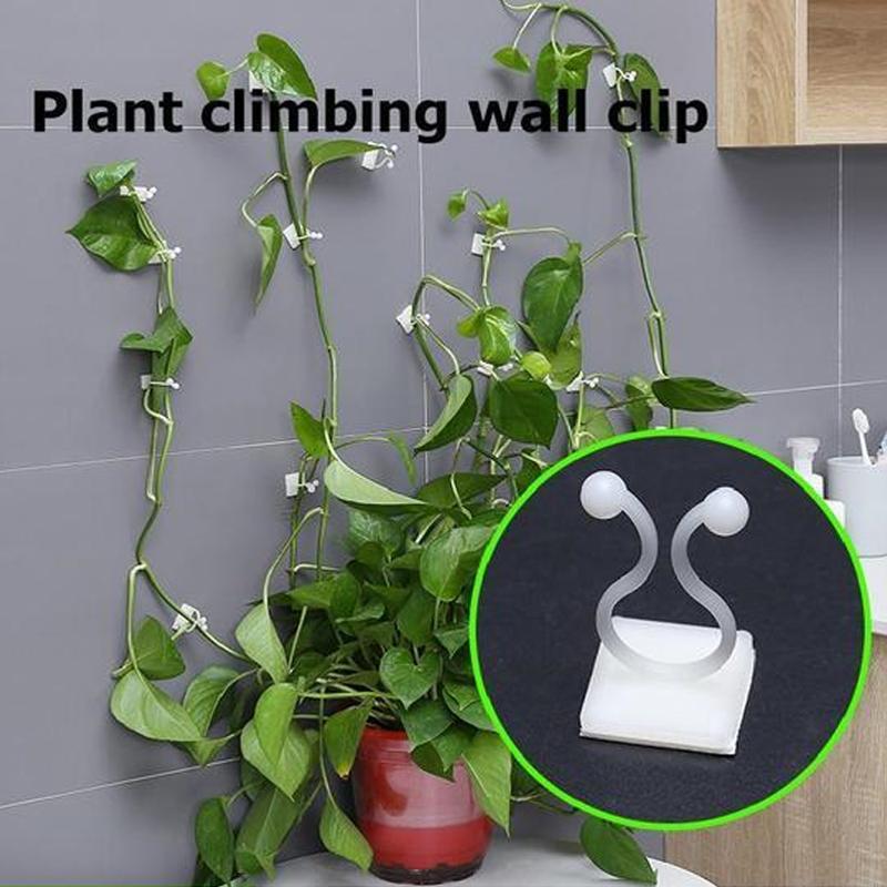 Wall Clip for Climbing Plants (30 pieces) | Kalsten