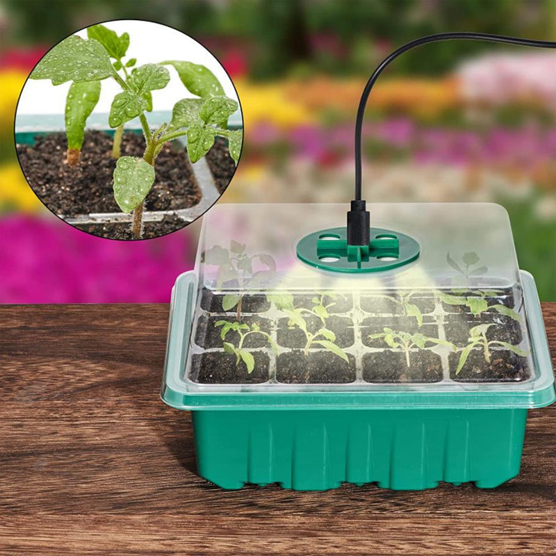 Seed Starter Trays with Grow Light, 5 sets | Kalsten