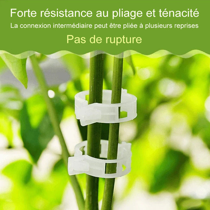 Plant support clips | Kalsten