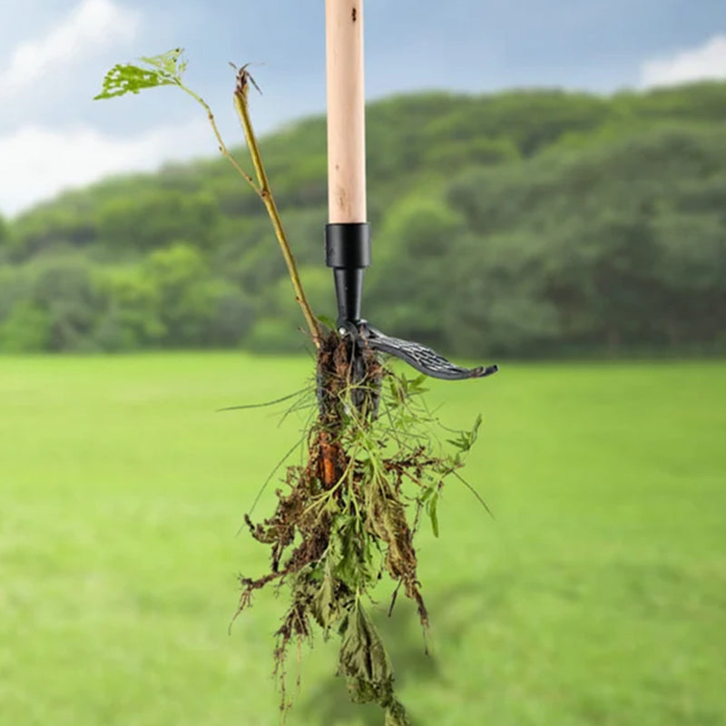 Kalsten | Stainless steel adjustable long handle detachable weeder