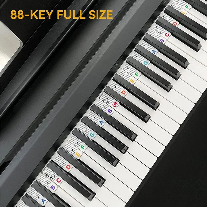 Kalsten | Removable Piano Keyboard Note Label