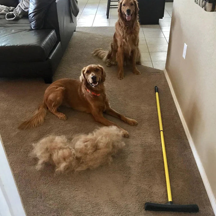 Pet Hair Removal Broom | Kalsten