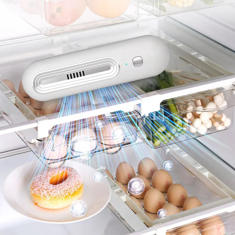 Kalsten | Compact Air Purifier and Refrigerator Deodorizer