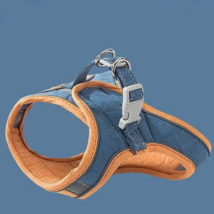 Harness and Leash Set for Cat | Kalsten