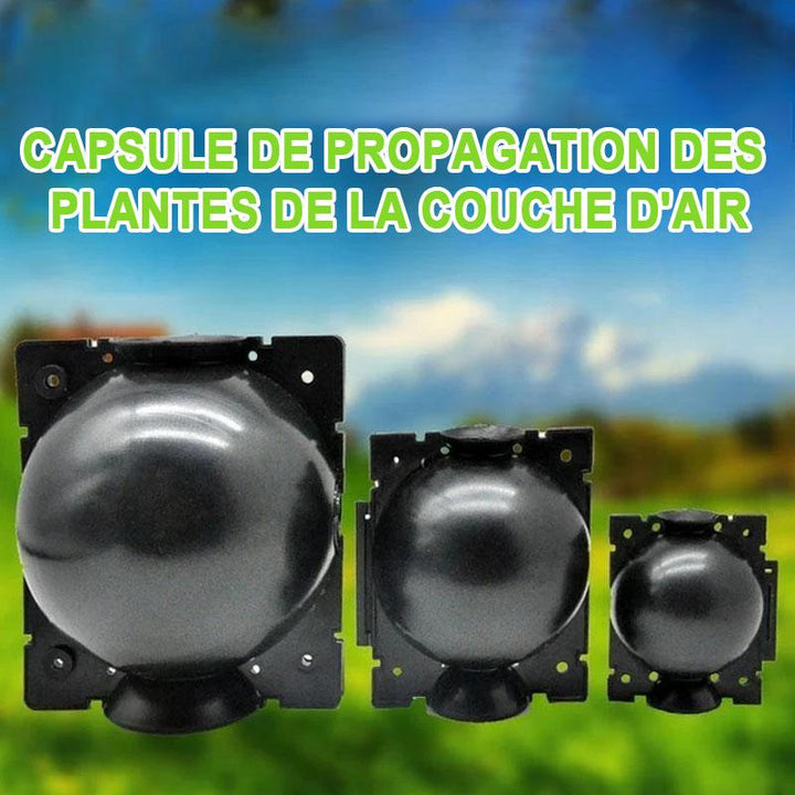 Air Layer Plant Propagation Capsule | Kalsten