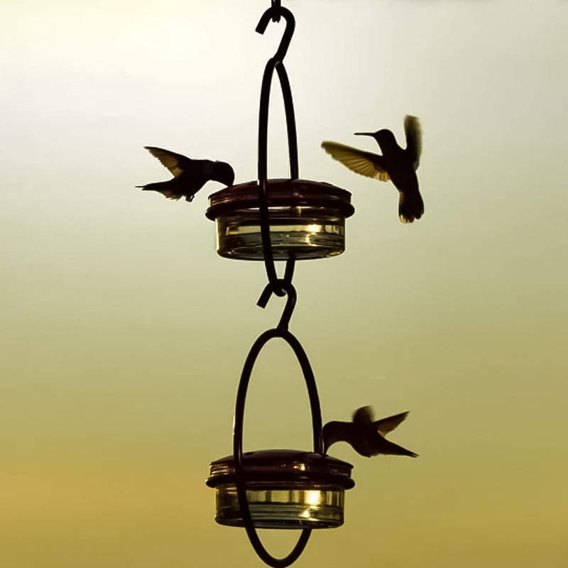 Kalsten | Simple Hummingbird Water Dispenser Made of Metal