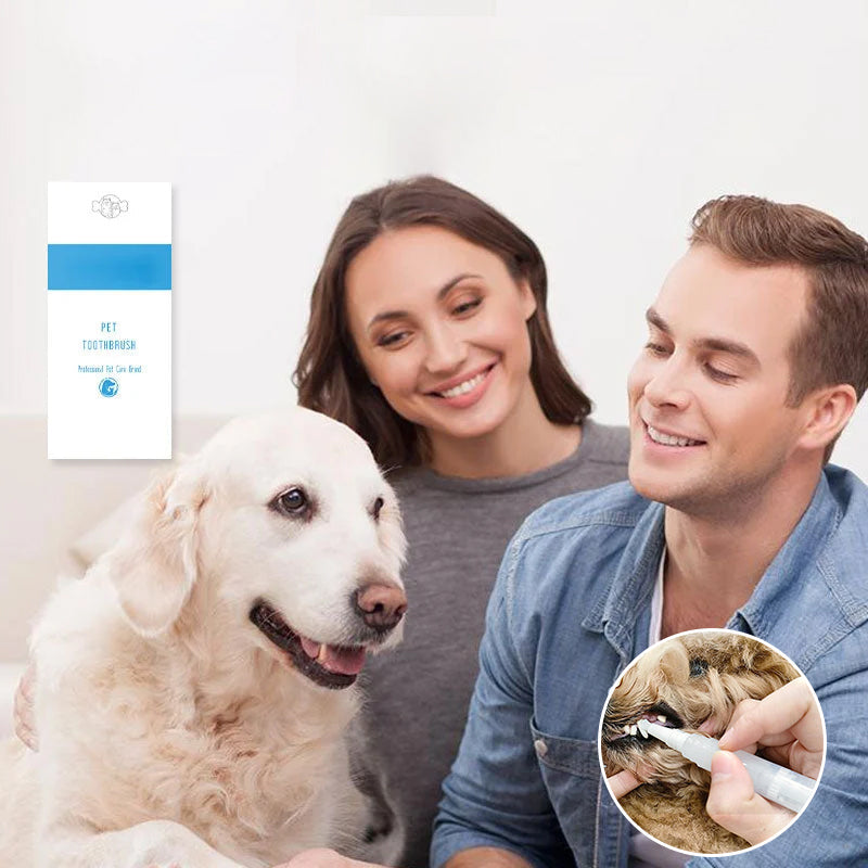 New improved toothbrush pen for pets | Kalsten
