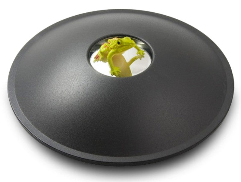 Kalsten | 3D Hologram Image Toy, Optical Projection & Visual Illusion, Best Gift for Christmas, Thanksgiving & Holidays
