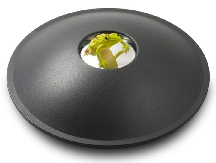 Kalsten | 3D Hologram Image Toy, Optical Projection & Visual Illusion, Best Gift for Christmas, Thanksgiving & Holidays