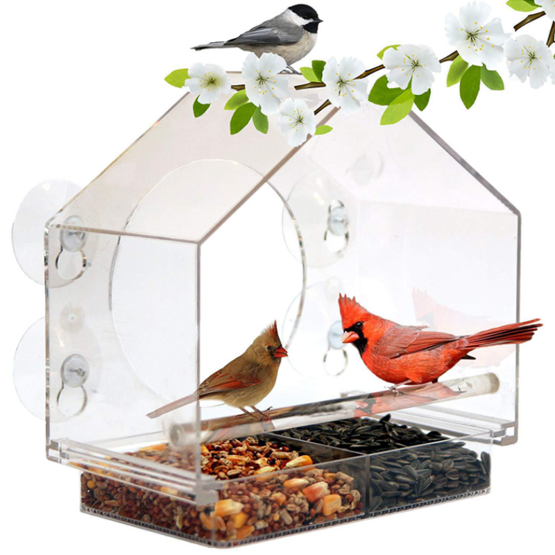 Skanto Skanto | Window Bird Feeder House