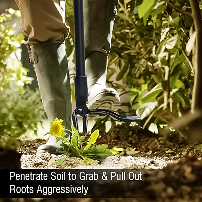 Kalsten | Stainless steel adjustable long handle detachable weeder