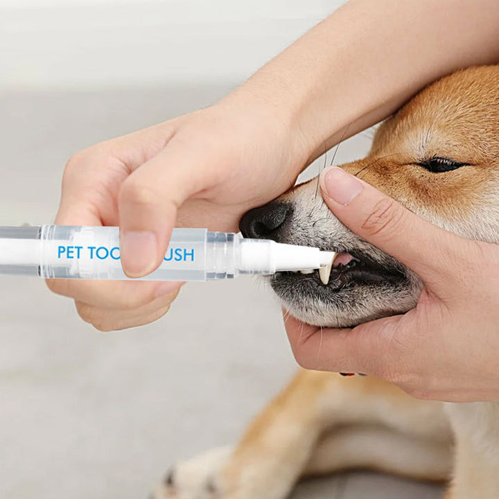 New improved toothbrush pen for pets | Kalsten