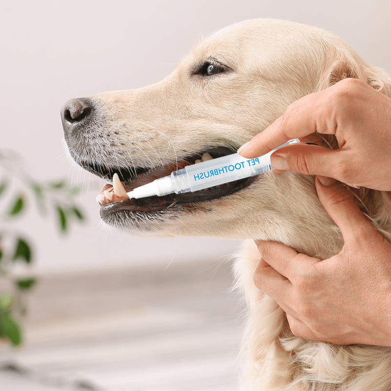 New improved toothbrush pen for pets | Kalsten