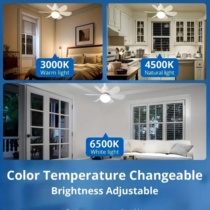 2-in-1 LED Ceiling Fan Light with Remote Control, E27/B22 Base | Kalsten