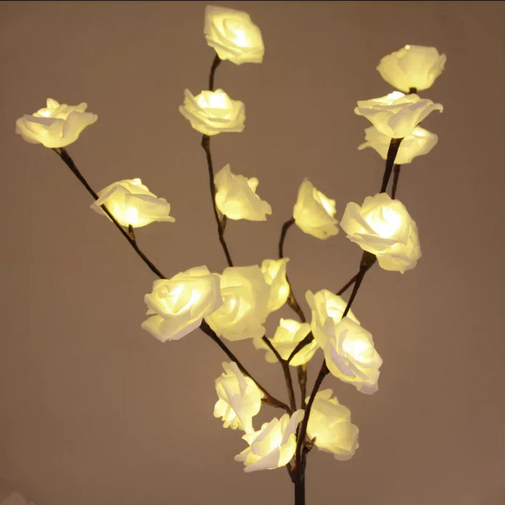 Kalsten | Lighted Branches