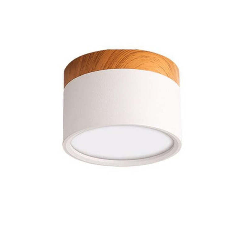 Morandi Style Modern LED Ceiling Lamp - LumiModo | Kalsten