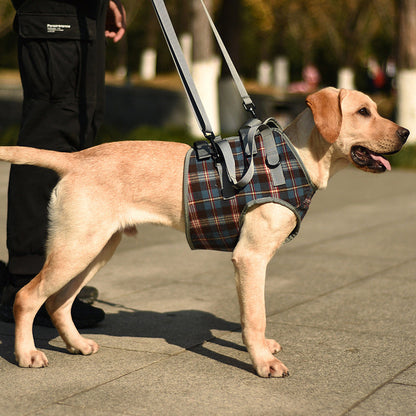 Orthopedic Rear Leg Harness