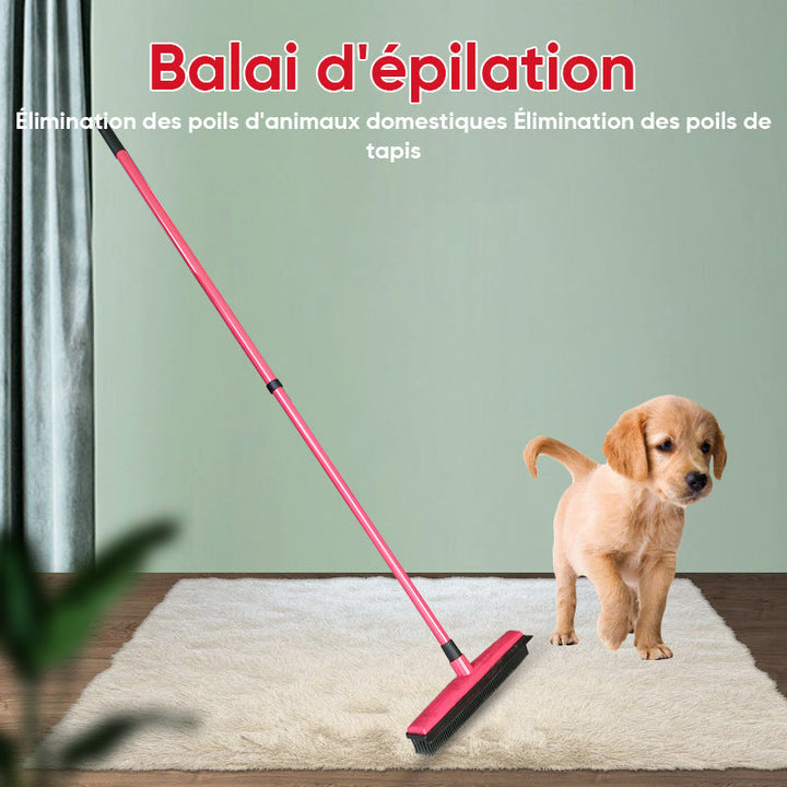Pet Hair Removal Broom | Kalsten