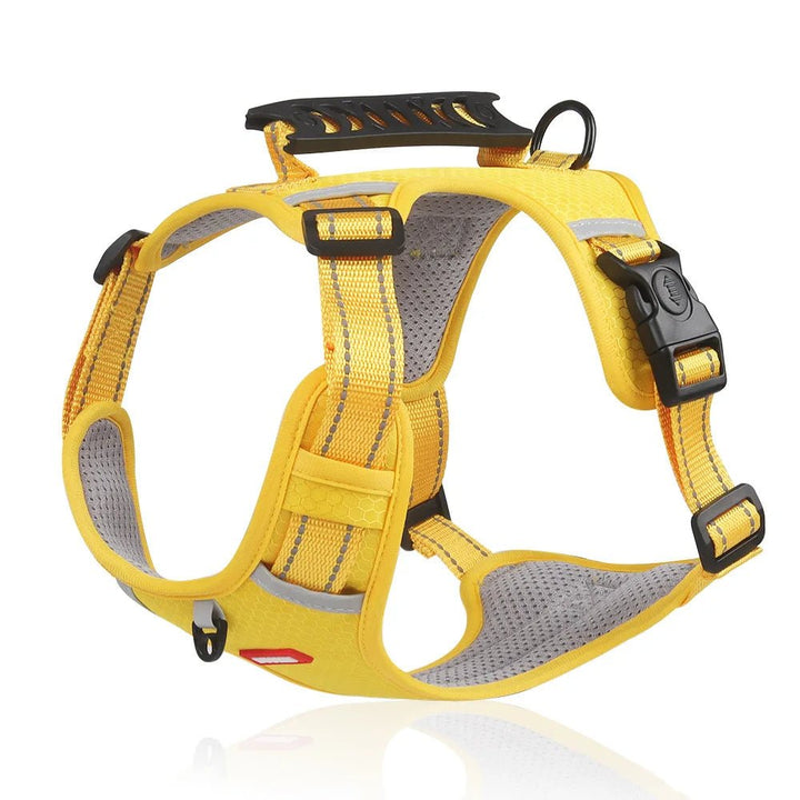 DogGrip Walk Safely with Your Dog | Kalsten