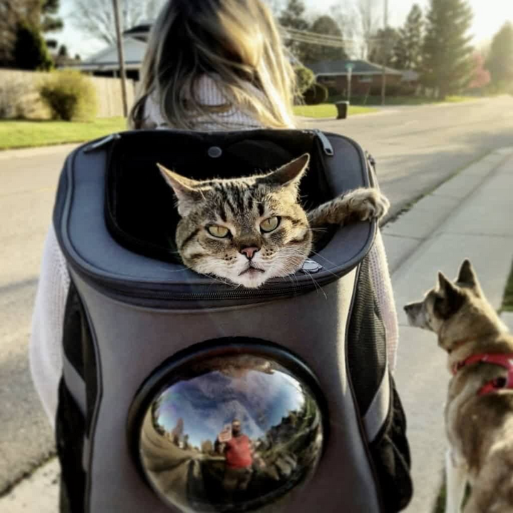 Kalsten | Spacious View Cat Backpack – Comfortable Pet Carrier with Bubble Window