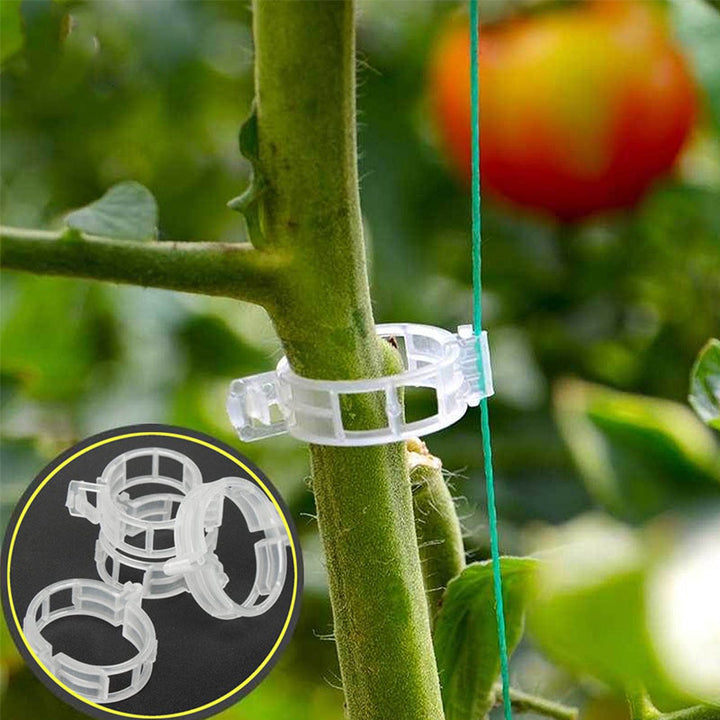 Plastic ring for holding plants | Kalsten