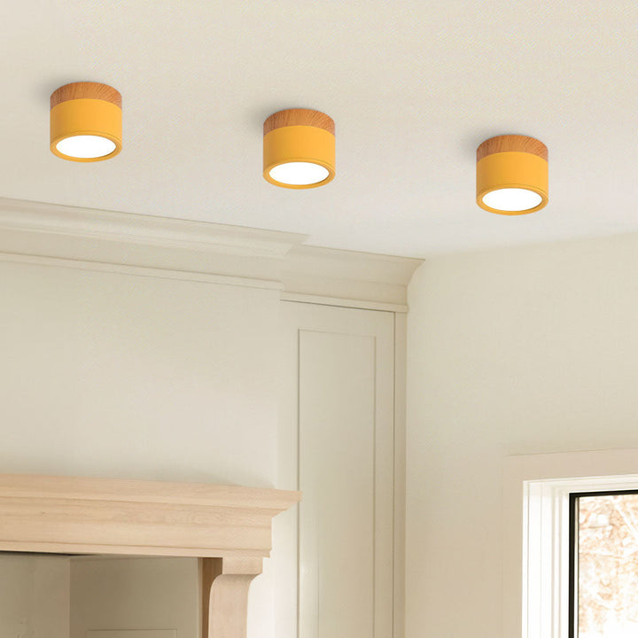 Kalsten | LED Ceiling Light Modern Flush Mount Cylinder