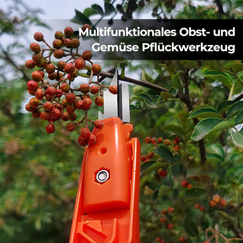 Efficient Pepper Picking Tools | Kalsten