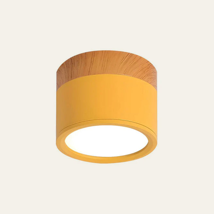 Kalsten | LED Ceiling Light Modern Flush Mount Cylinder