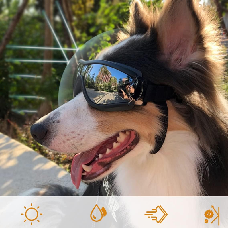 Kalsten | Outdoor Protection Glasses for Dogs