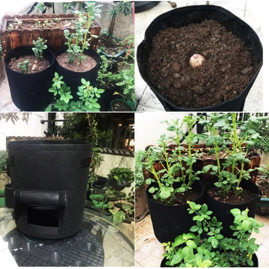 Breathable Magic Plant Bag — Awaken vibrant roots and harvest freedom with every grip! | Kalsten