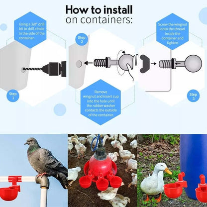 Norvo | Automatic Chicken Water Cup Bird Coop