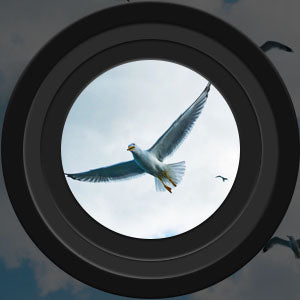 Kalsten | Binoculars High Power Night Vision Waterproof
