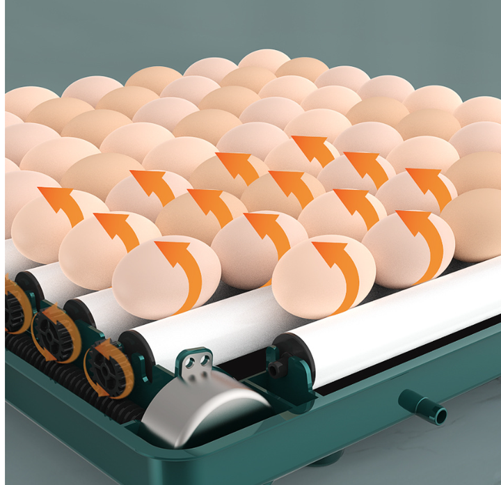 Kalsten | Digital Egg Incubator with Adjustable Tray