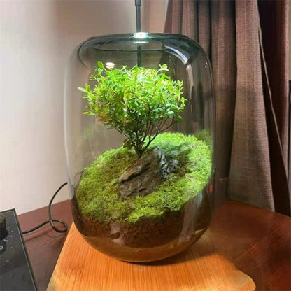 Micro Landscape Green Oasis Glass Vases | Brehn