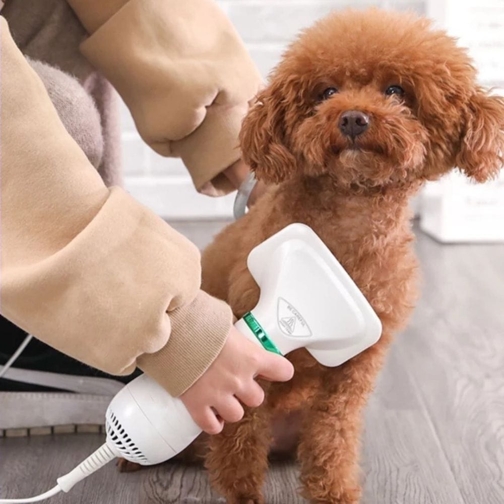 Kalsten | 2-in-1 Dog Grooming Dryer