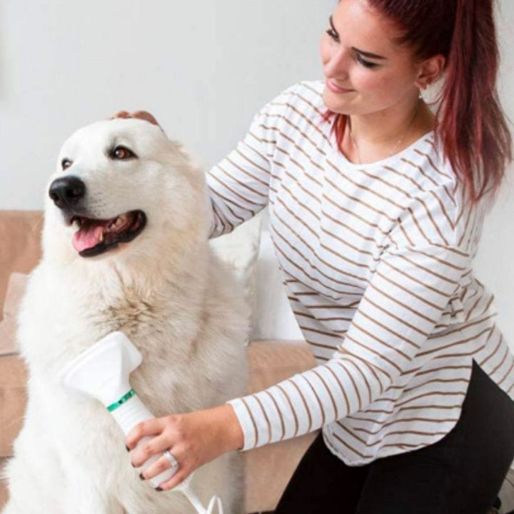 Kalsten | 2-in-1 Dog Grooming Dryer