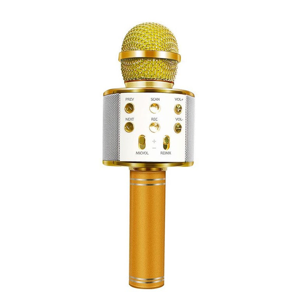 Kalsten | Rechargeable wireless Bluetooth karaoke microphone