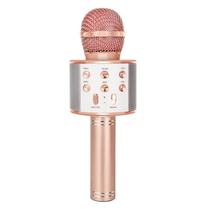Brehn | Rechargeable Wireless Bluetooth Karaoke Microphone