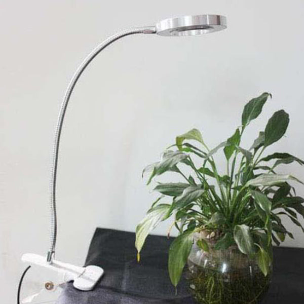 Creative simple USB pants button LED reading clip desk lamp | Kalsten
