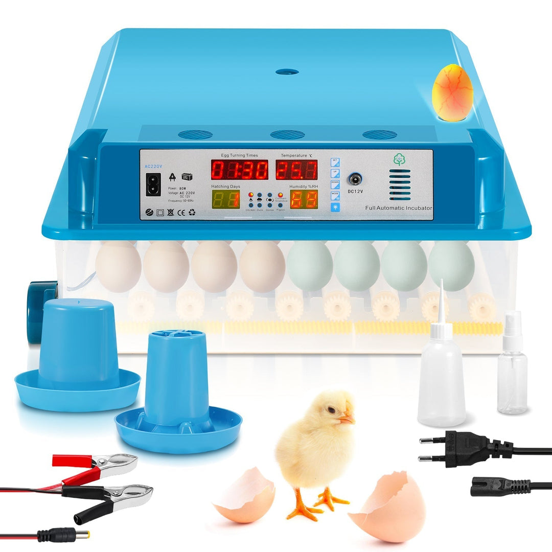 Brutautomat Fully Automatic Incubator for Chickens 64 Eggs | Kalsten
