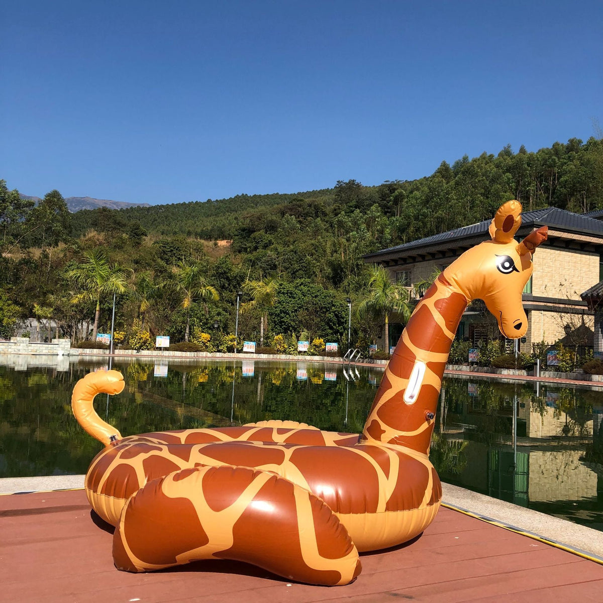 Unisex Inflatable Giraffe Pool Float Karnz