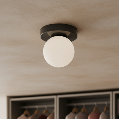Frosted Glass Globe Wall & Ceiling Sconce
