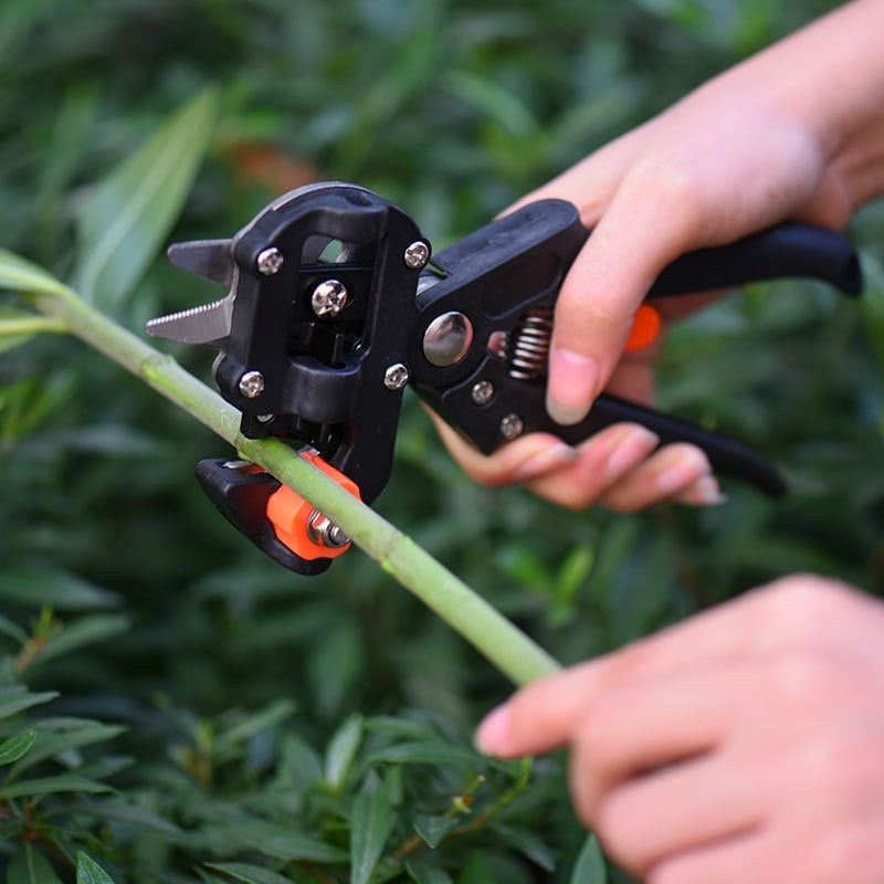 Kalsten | Garden Professional Grafting Cutting Tool