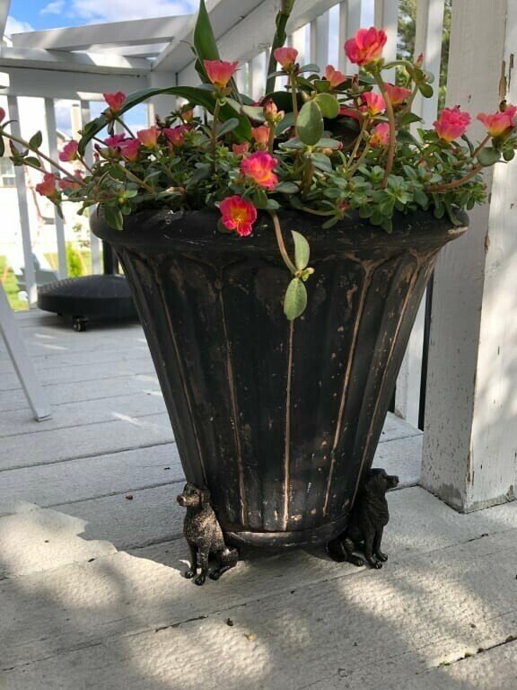 Kalsten | Potty Feet Plant Pot Feet