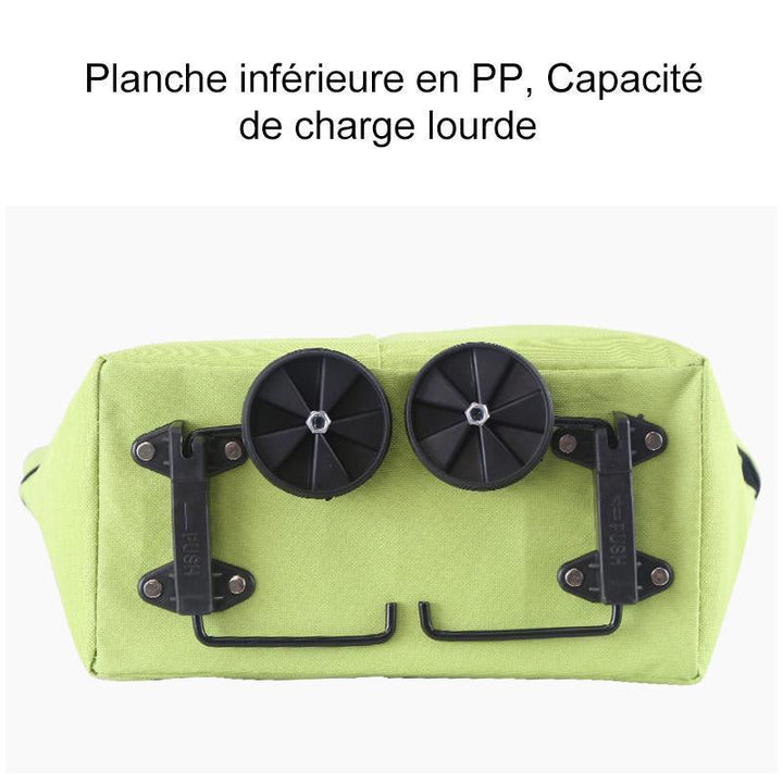 Foldable Shopping Bag with Wheels | Kalsten